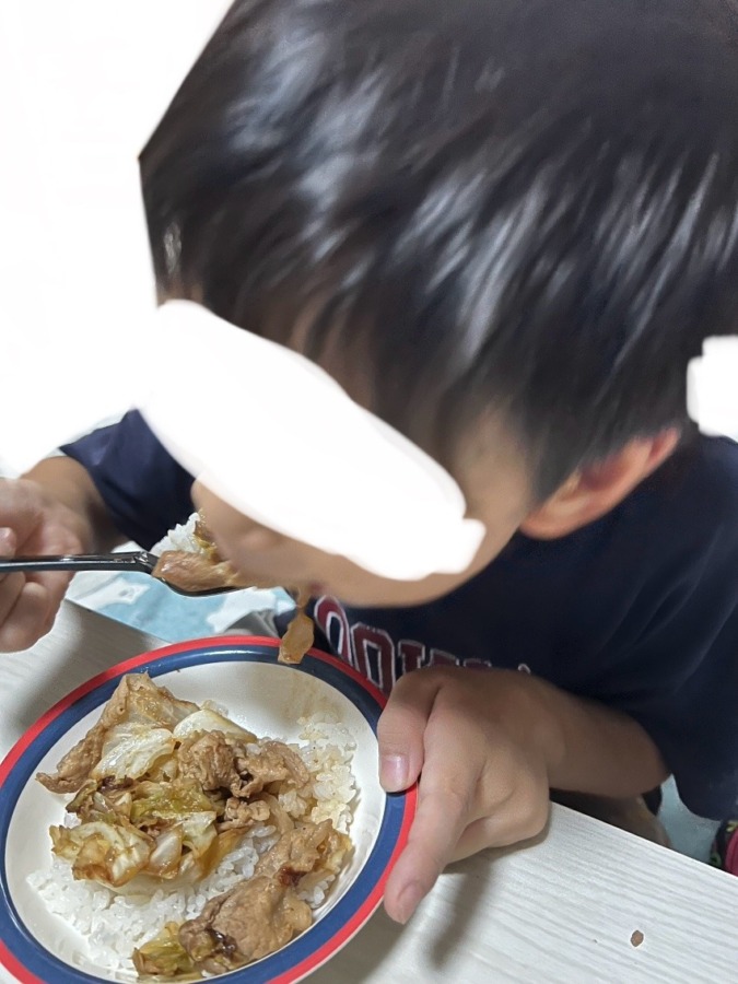 戴いた【豚切り落とし】最後のお肉も豚丼に🍚✨