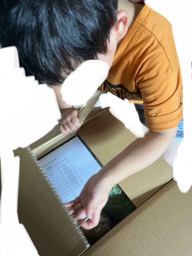 野菜セット8種が届きました😍